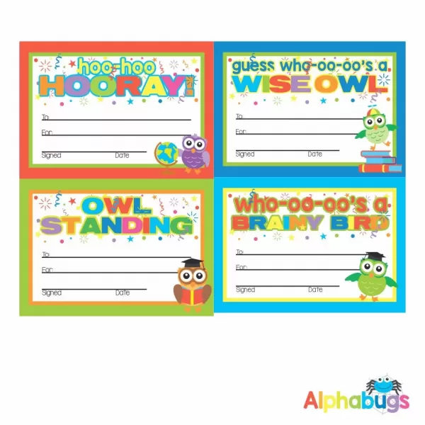 Certificates – Wise Owls 2