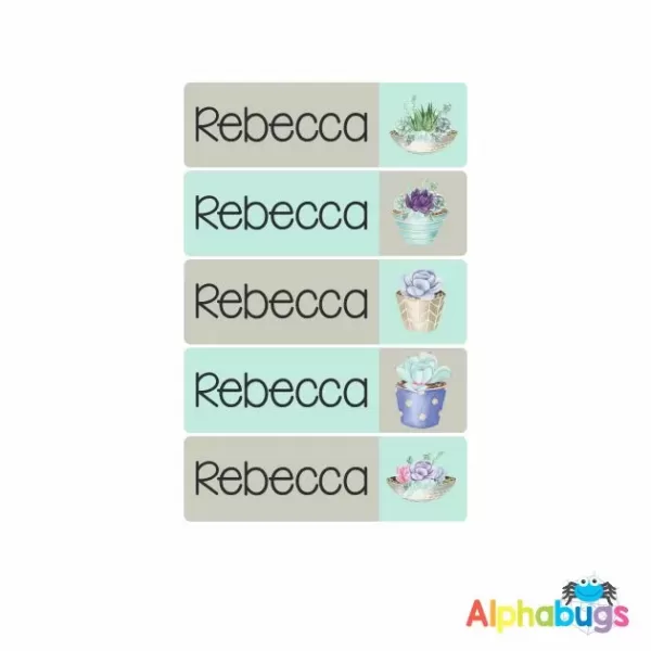 Rebecca
