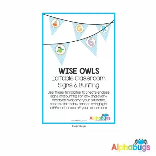 Classroom Decor – Wise Owls Signs & Bunting