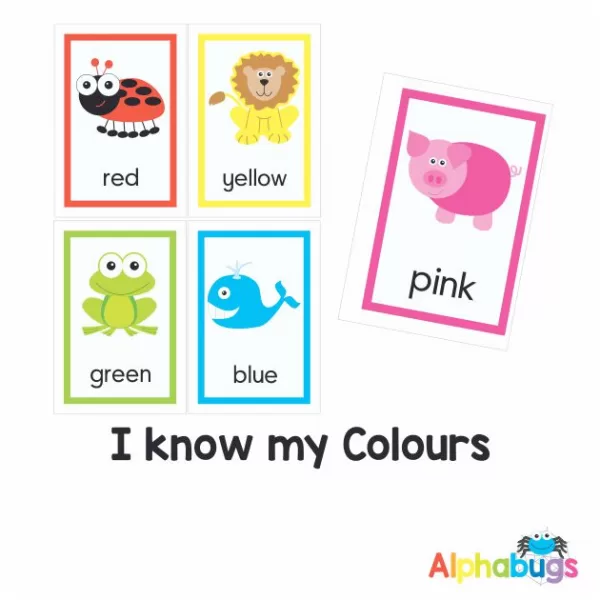 Downloadable Flashcards