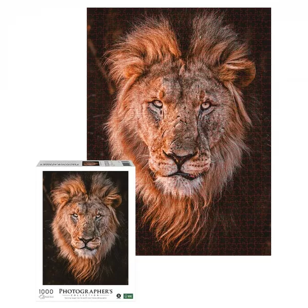 Ambassador – Photographers Collection 1000 Piece Puzzle – African Lion