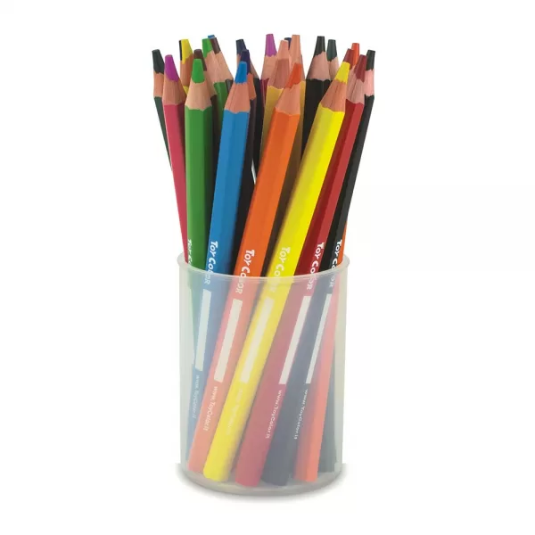 Toy Color – Wooden Pencil – Jumbo – 12 Colours – 24 Pieces Jar