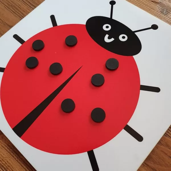 Dotty Counting Ladybird