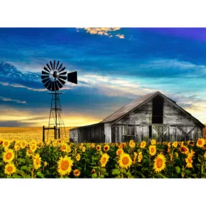 RGS – Sunflowers in Clarens 1500pc