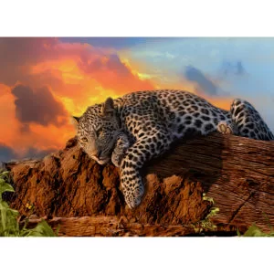 RGS – Sunset Leopard 1500pc